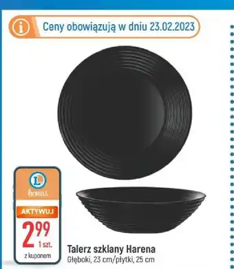 E.Leclerc Talerz płytki harena oferta