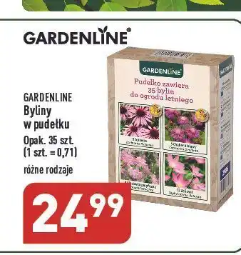 ALDI Byliny garden line oferta