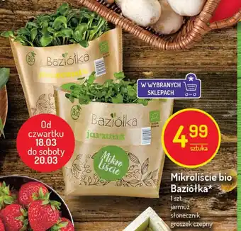 Mikroliście bio Baziółka 1sztuka