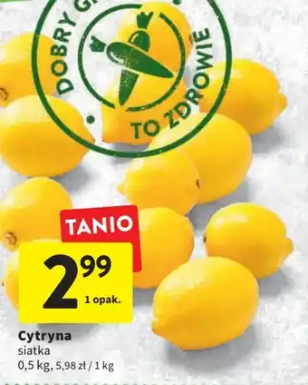 Intermarche Cytryna siatka 0,5kg oferta