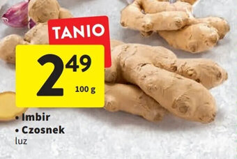 Intermarche Imbir 100g oferta