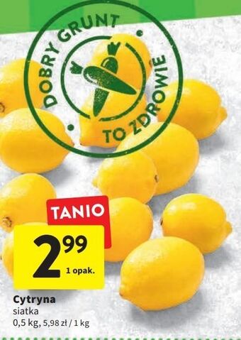 Intermarche Cytryny oferta