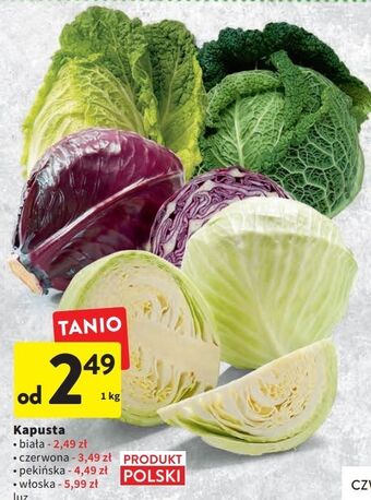 Intermarche Kapusta biała oferta