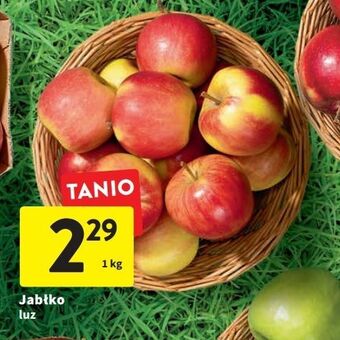 Intermarche Jabłka oferta