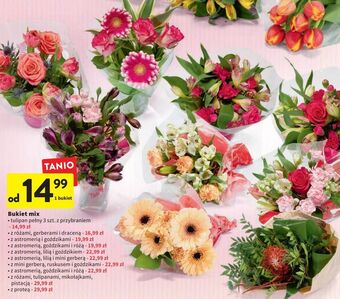 Intermarche Tulipany oferta