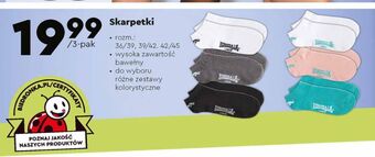 Biedronka Skarpety męskie 42/45 lonsdale oferta