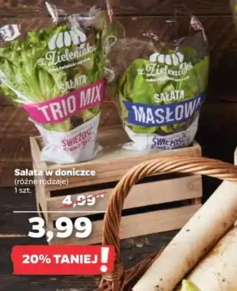 Netto Sałata trio mix z zieleniaka netto oferta