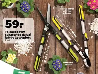 Netto Sekator teleskopowy oferta