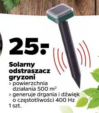 Netto Odstraszacz gryzoni solarny oferta