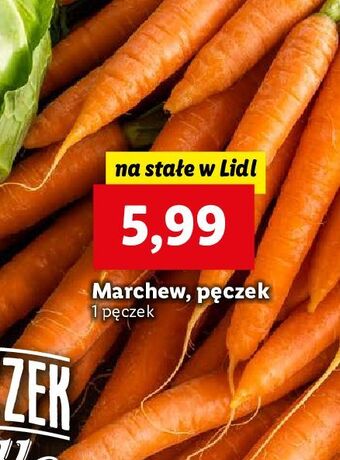 Lidl Marchewka oferta