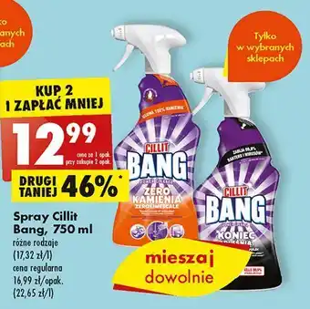 Biedronka Spray do czyszczenia pleśń i czarne osady cillit bang power cleaner oferta