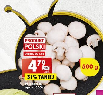 Biedronka Pieczarki oferta
