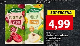 Lidl Melisa z pigwą herbapol oferta