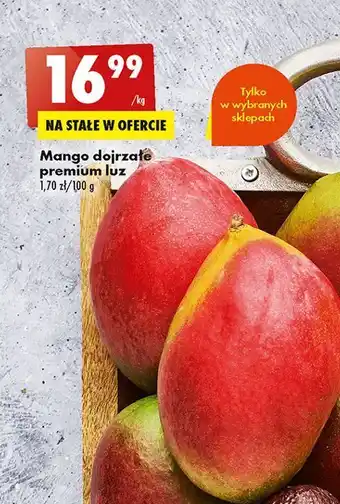 Biedronka Mango dojrzałe premium luz 1kg oferta