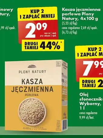 Biedronka Kasza jęczmienna perłowa plony natury oferta
