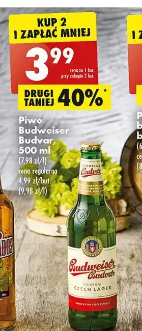 Biedronka Piwo b: classic budweiser budvar oferta