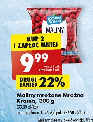 Biedronka Maliny mroźna kraina oferta