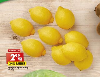Biedronka Cytryna opak. 500g oferta
