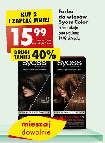 Biedronka Farba do włosów 5-8 orzechowy brąz syoss professional performance oferta