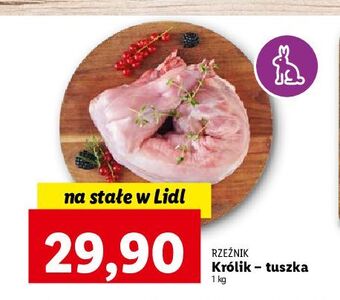Lidl Królik tusza bez antybiotyków rzeźnik codzienna dostawa oferta