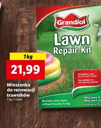 Lidl Mieszanka do renowacji trawników grandiol oferta