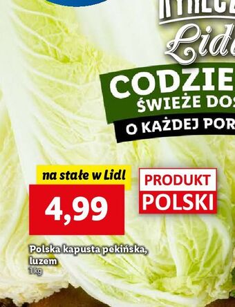 Lidl Kapusta pekińska oferta