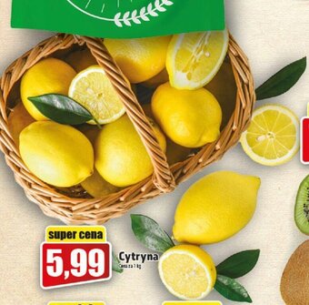 Topaz Cytryna 1kg oferta