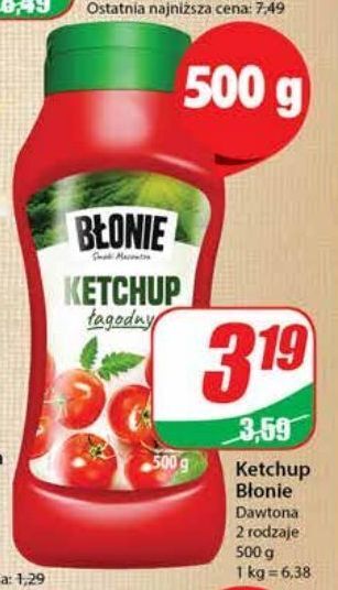 Dino Ketchup łagodny błonie oferta