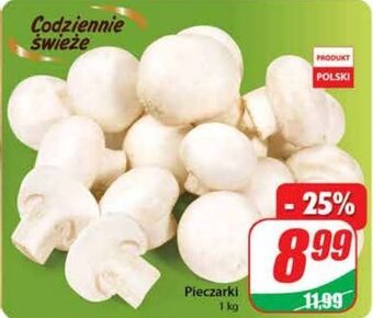 Dino Pieczarki oferta