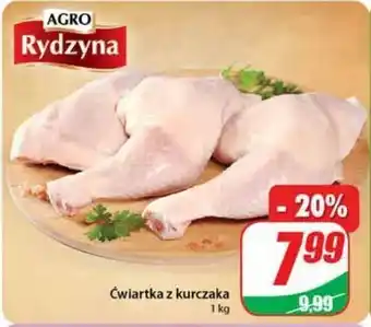 Dino Ćwiartka z kurczaka agro rydzyna oferta