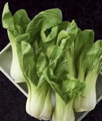 Stokrotka Pak choi oferta