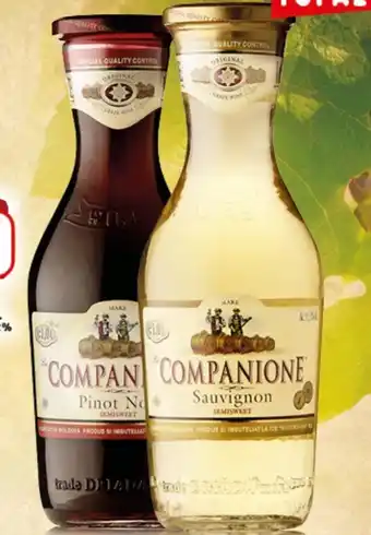 Wino companione