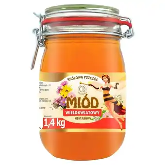 Stokrotka Market Królowa pszczół miód wielokwiatowy nektarowy 1,4 kg oferta
