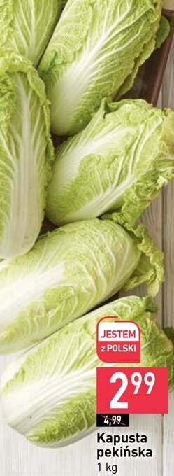 Stokrotka Kapusta pekińska oferta