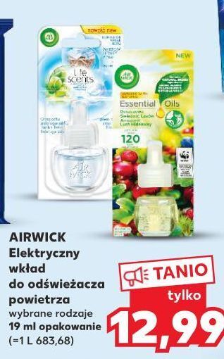 Kaufland Wkład świeżość letniego poranka air wick electric life scents oferta