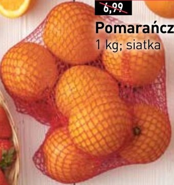 Stokrotka Pomarańcza oferta