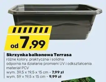 Bricomarche Skrzynka na kwiaty oferta