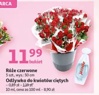 Auchan Odżywka do kwiatów ciętych agrecol oferta