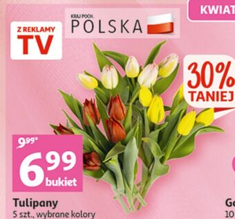 Auchan Tulipany oferta