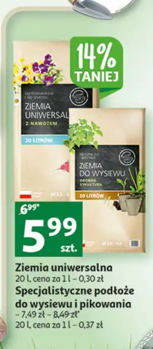 Auchan Ziemia do wysiewu oferta