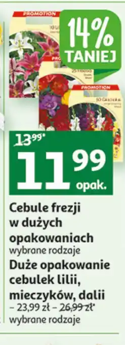 Auchan Cebule dalii oferta