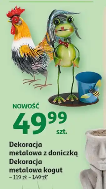 Auchan Żaba metalowa z doniczką oferta