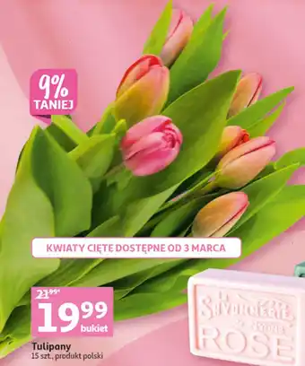 Auchan Tulipany oferta