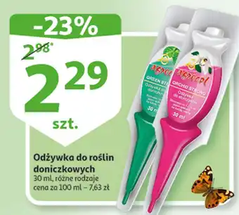 Auchan Odżywka do storczyków agrecol oferta