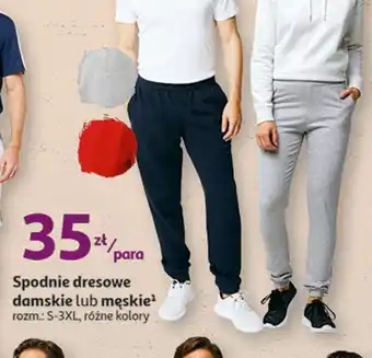 Auchan Spodnie dresowe męskie inextenso by auchan oferta
