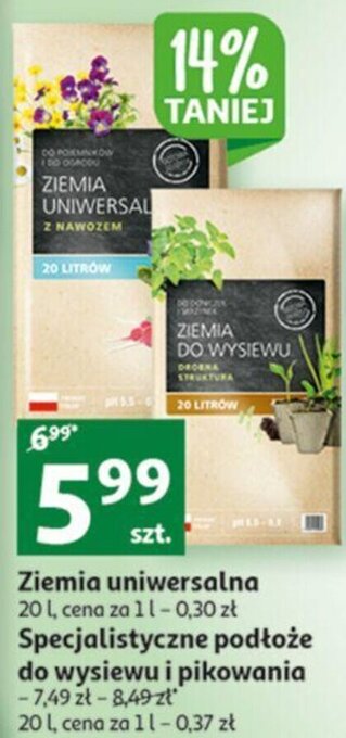 Auchan Ziemia uniwersalna oferta