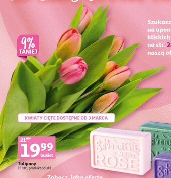 Auchan Tulipany 15szt. oferta