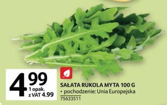 Selgros Sałata rukola myta 100g oferta