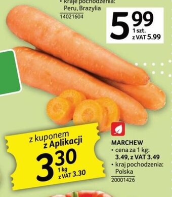 Selgros Marchew 1kg oferta
