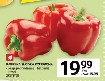 Selgros Papryka słodka czerwona oferta